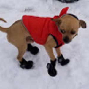 Meet your Posher, Liam